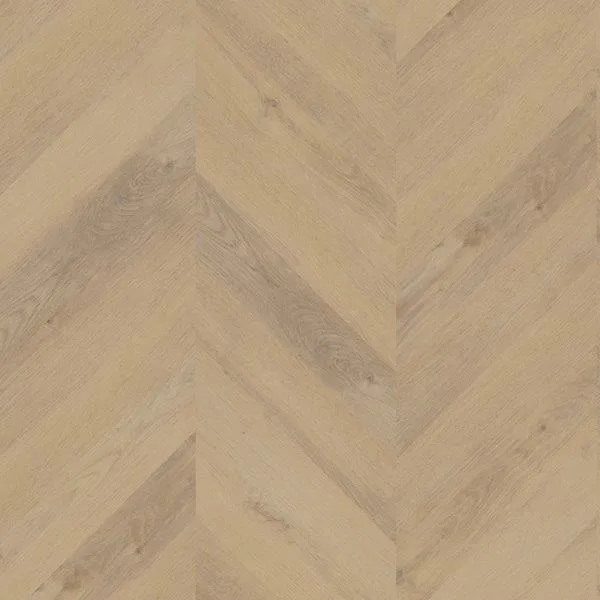 Laatste Kans Belakos - Palazzo Hongaarse punt 72 (Plak PVC)