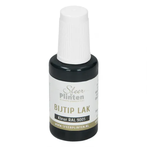 Bestel Nu Sfeerplinten bij-tip-lak RAL9005 - 20ml
