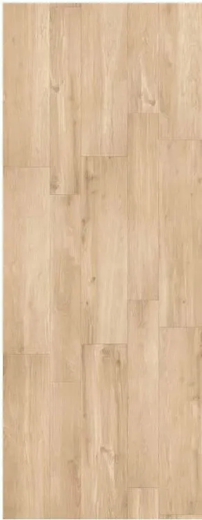 Gazzini LES BOIS Beige mat 30X120cm ( GAZBOIST3012R ) Direct Verzonden