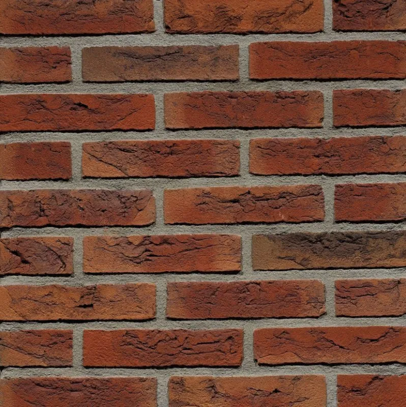 Direct Verzonden Waalformaat metselsteen oranje - Geba 035