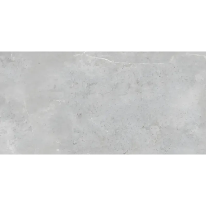 Betrouwbaar Zermatt Acero 60x120 rett