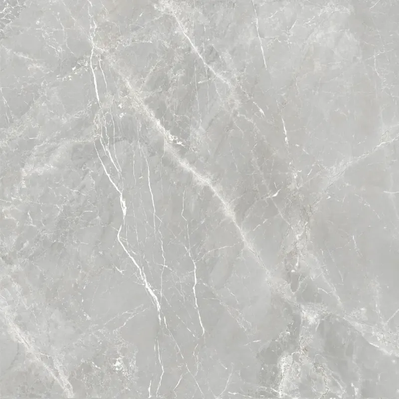 Superprijs Fior di Bosco Perla silk 60x60 rett
