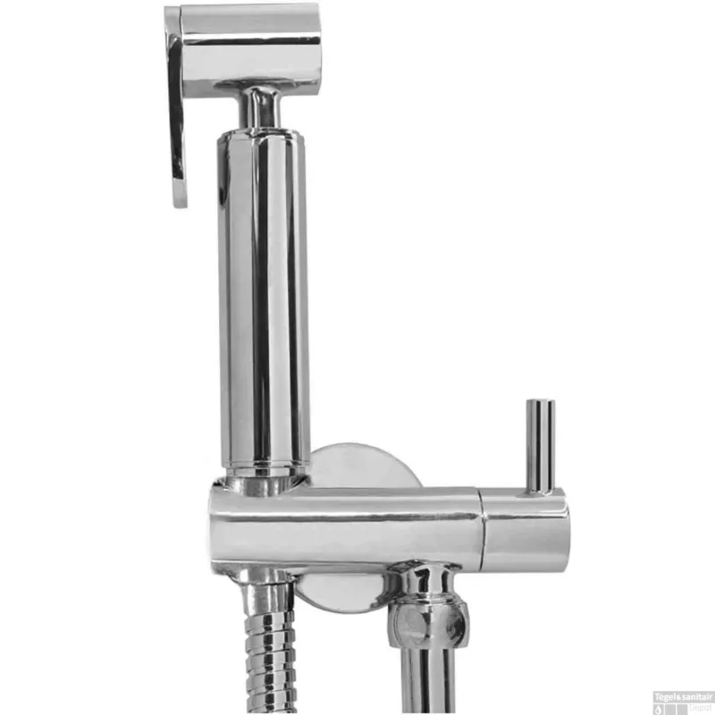 Koopje Bidet BWS Handdoucheset met Doucheslang en Opsteekgarnituur Chroom