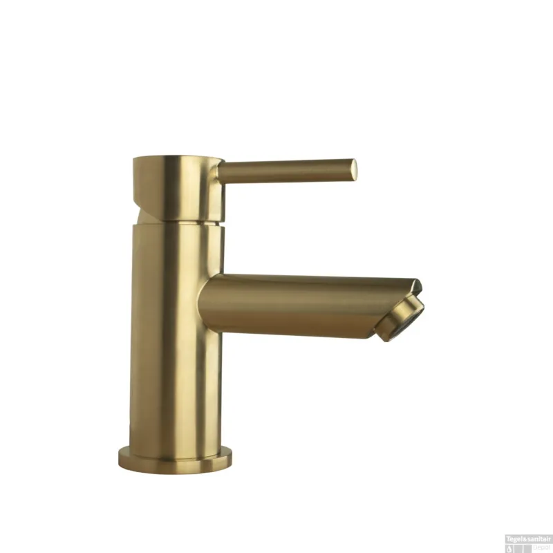Wastafelkraan BWS Colorato Ensy Laag Geborsteld Goud Lage Prijs
