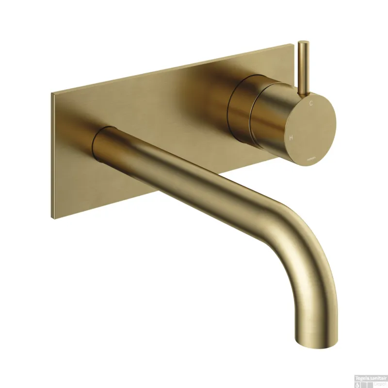 Inbouw Wastafelkraan Met Achterplaat Hotbath Cobber 18cm Gebogen Uitloop 1-Hendel Geborsteld Messing Nu Kopen