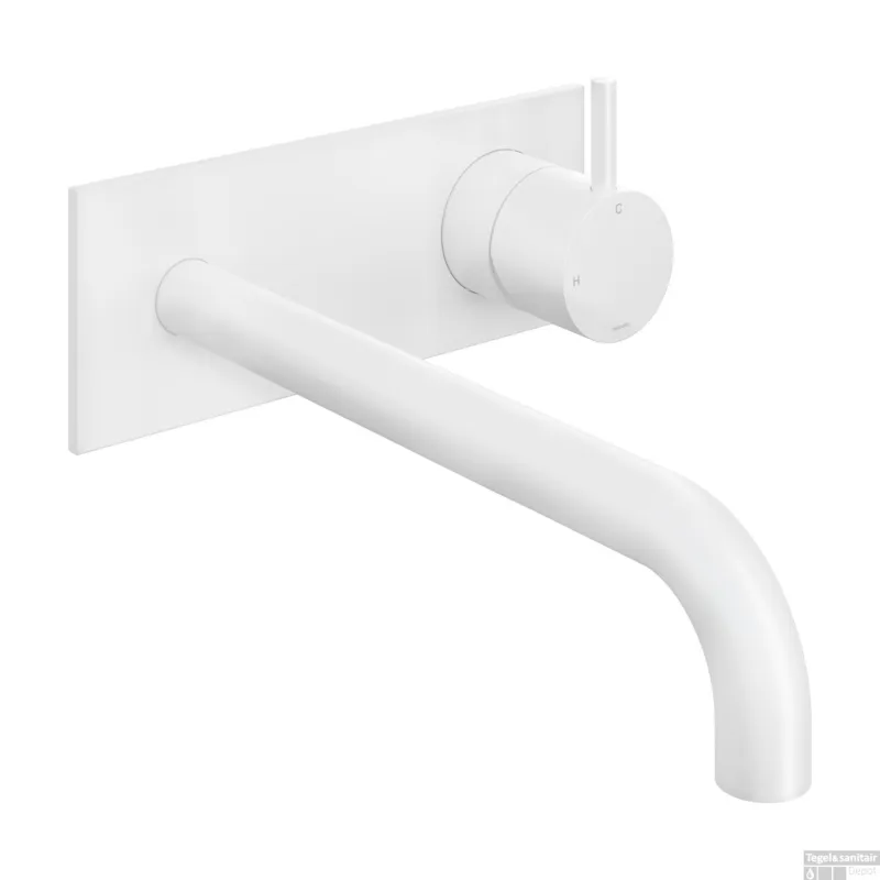 Inbouw Wastafelkraan Met Achterplaat Hotbath Cobber 25cm Gebogen Uitloop 1-Hendel Mat Wit Dagaanbieding