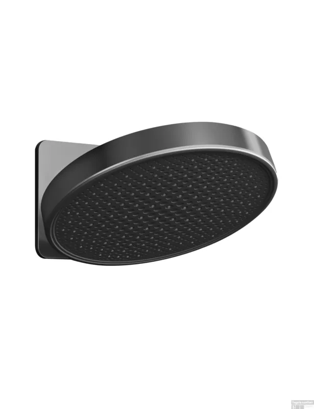 Hoofddouche Hotbath Cobber 1-F opbouw, 300mm Kantelbare Wandarm Geborsteld Zwart Gereduceerde Prijs