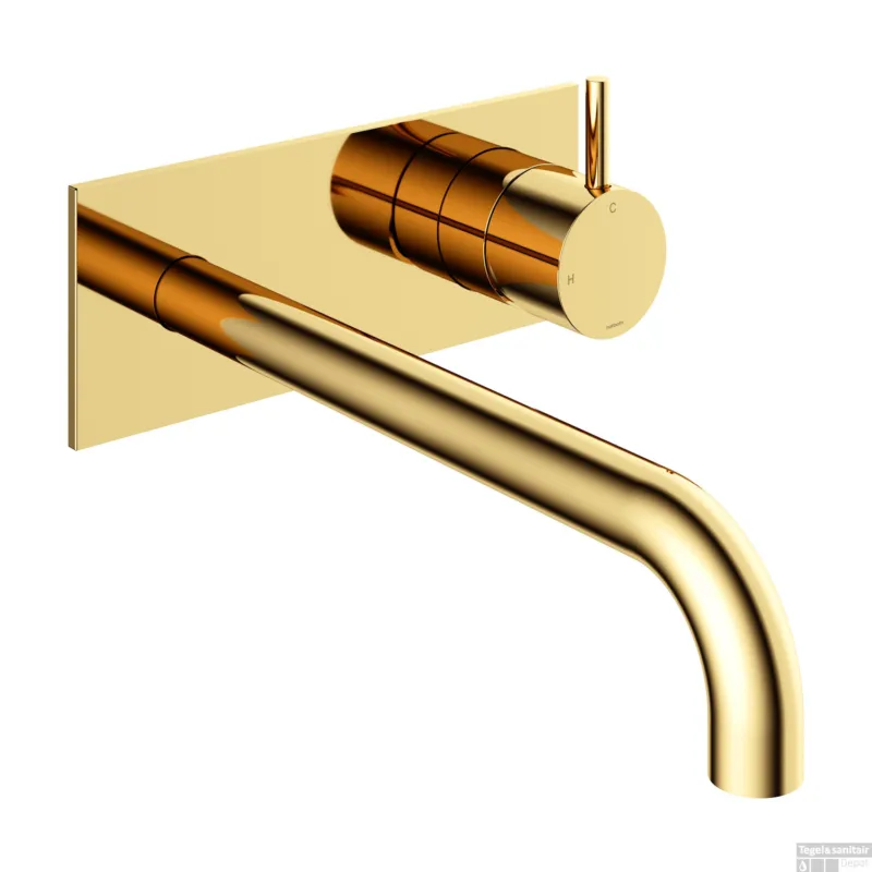 Inbouw Wastafelkraan Met Achterplaat Hotbath Cobber 25cm Gebogen Uitloop 1-Hendel Gepolijst Messing PVD Dagaanbieding