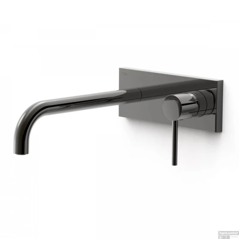 Snelle Levering Wastafelmengkraan Inbouw Tres Study Exclusive met Afdekplaat Gebogen Uitloop 24 cm en Hendel Metallic Zwart