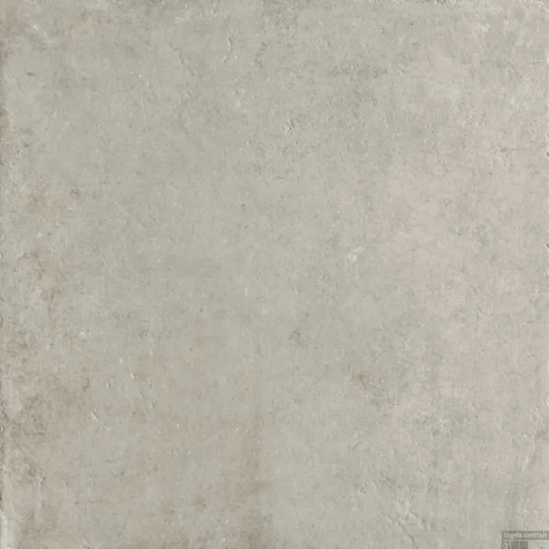 Vloer en Wandtegel Serenissima Promenade 60x60 cm Argento (Doosinhoud 1.08m2) Dagaanbieding