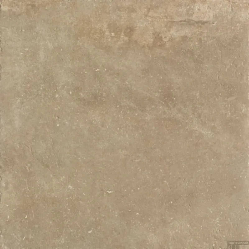 Vloer en Wandtegel Serenissima Promenade 60x60 cm Tan (Doosinhoud 1.08m2) Shop Nu