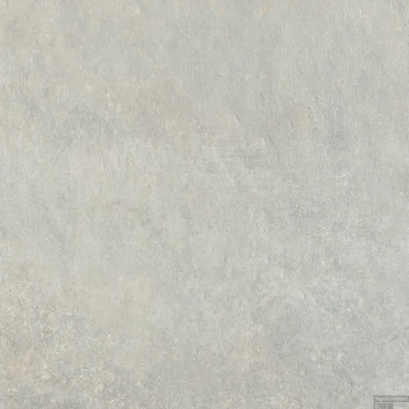Direct Verzonden Vloer en Wandtegel Serenissima Studio 50 60x60 cm Perla (Doosinhoud 1.08m2)
