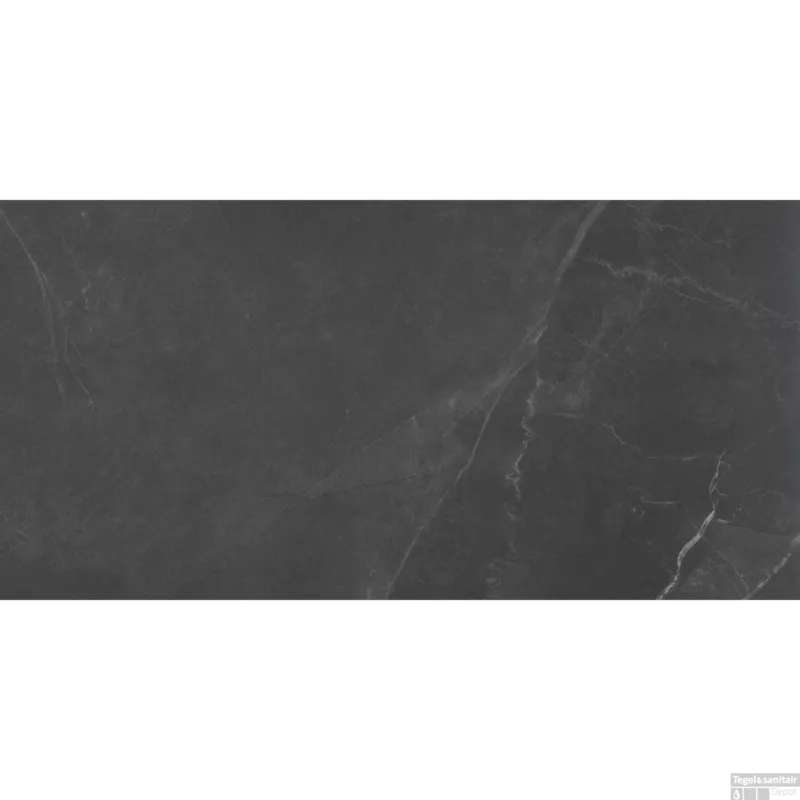 Exclusieve Aanbieding Vloertegel Mood Stone 60x120 cm Steel (Doosinhoud 1,43m2)