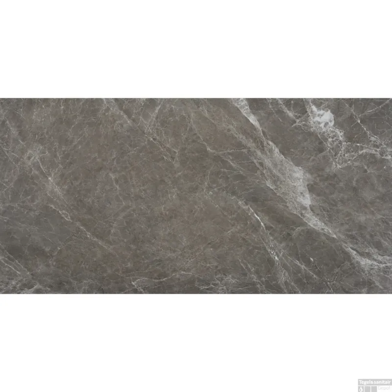 Vloertegel Alaplana Allison Gris Marmerlook 60x120 cm (doosinhoud 1.44m2) Beste Prijs