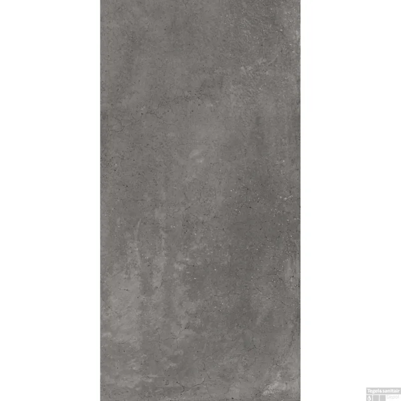 Vloertegel Energieker Parker 30x60 cm Anthracite (Doosinhoud 1,26 m2) Uitverkoop