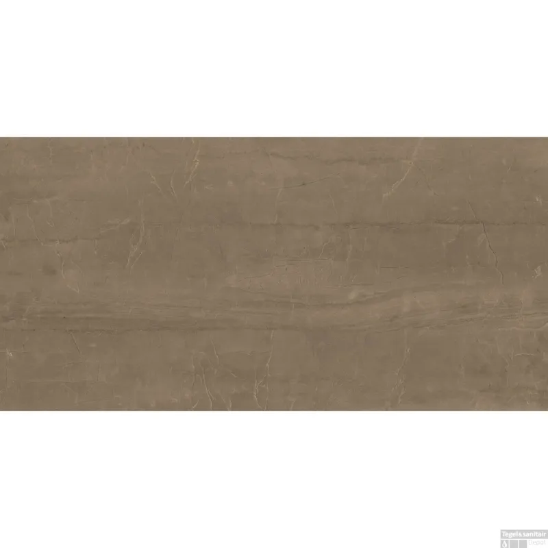 Vloertegel XL Etile Kontempo Cinnamon Glans 60x120 cm (Doosinhoud 1.44m²) Laatste Versie