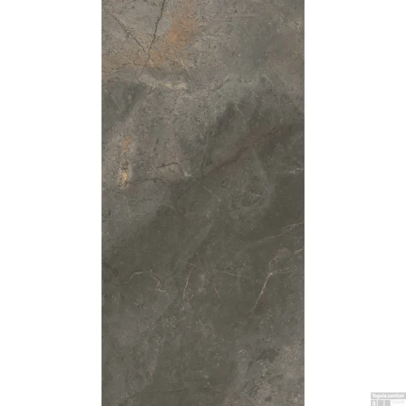Vloertegel TS-Tiles Stonemaster Graphite 60x120 cm (doosinhoud 1.43m2) Veilige Betaling