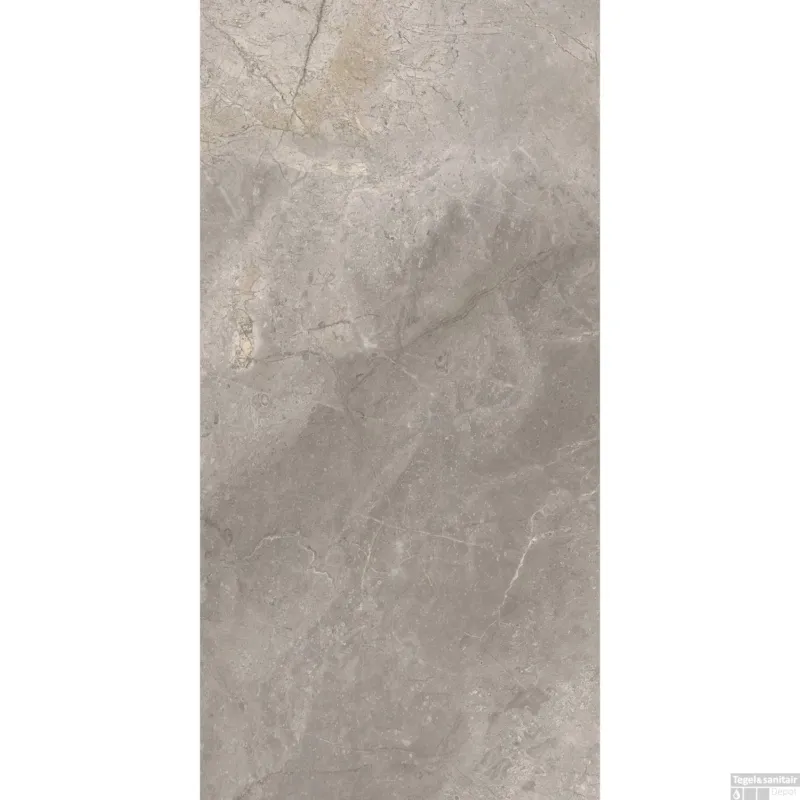 Hete Deal Vloertegel TS-Tiles Stonemaster Silver 60x120 cm (doosinhoud 1.43m2)