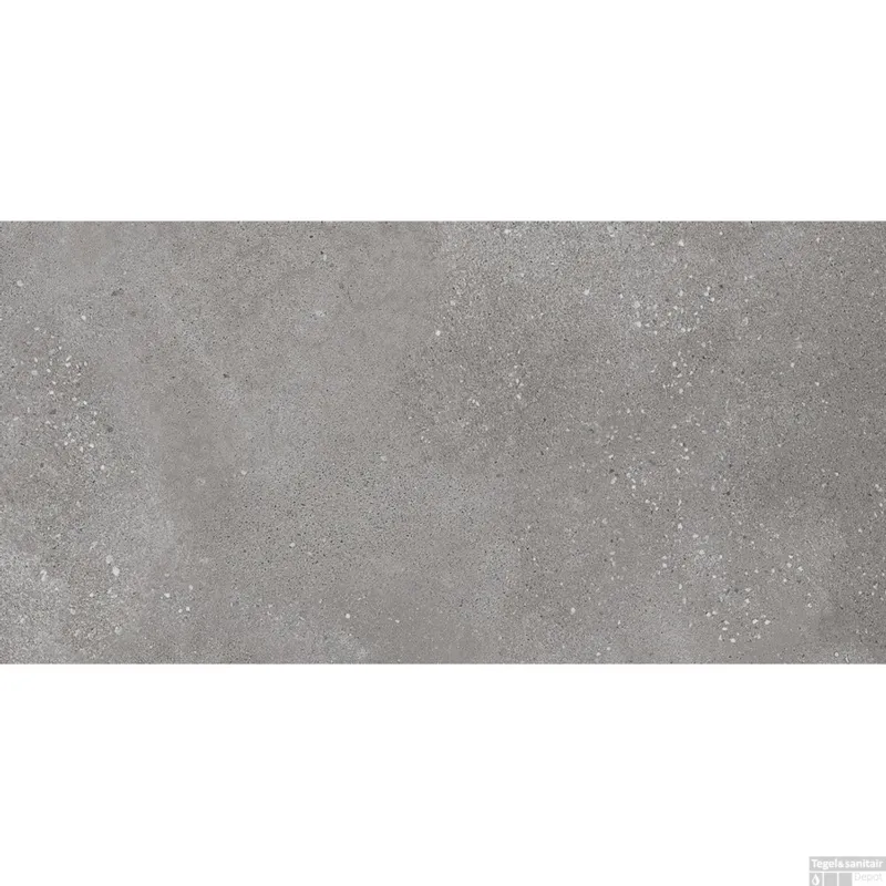 Beperkte Voorraad Vloertegel Rako Betonico 30x60 cm Grey Grijs (Doosinhoud 1,08 m2)