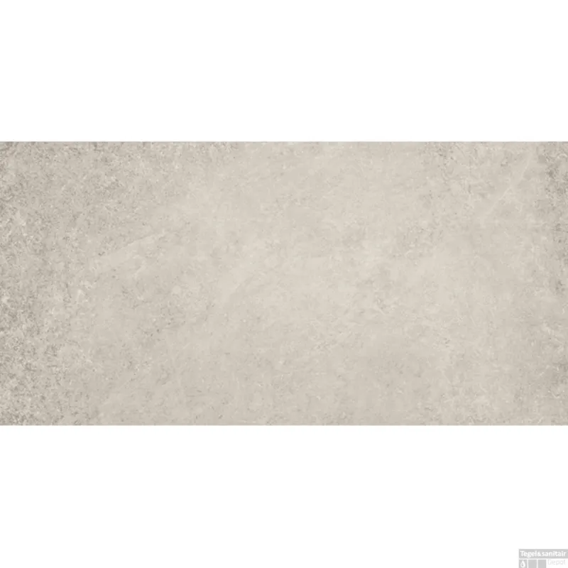 Gecertificeerd Vloertegel Serenissima Materica 30x60 cm Platino (doosinhoud 1.08M2)