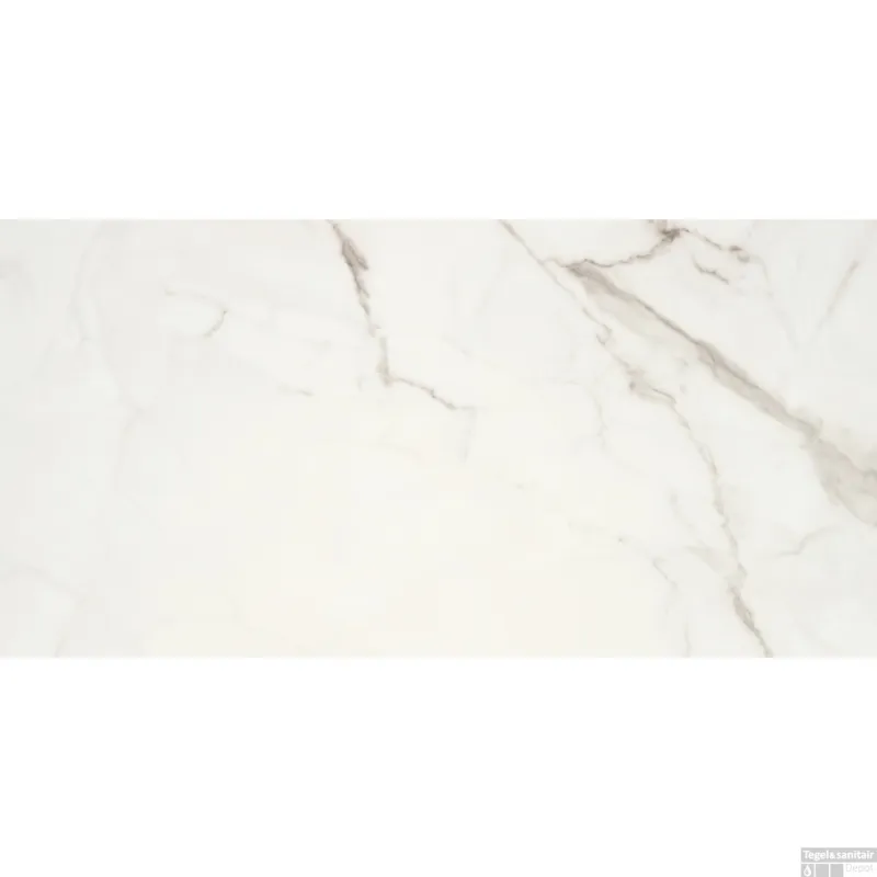 Exclusieve Aanbieding Vloertegel Alaplana Kinsale Rect Pol 60x120 cm (Doosinhoud 1.43m2)