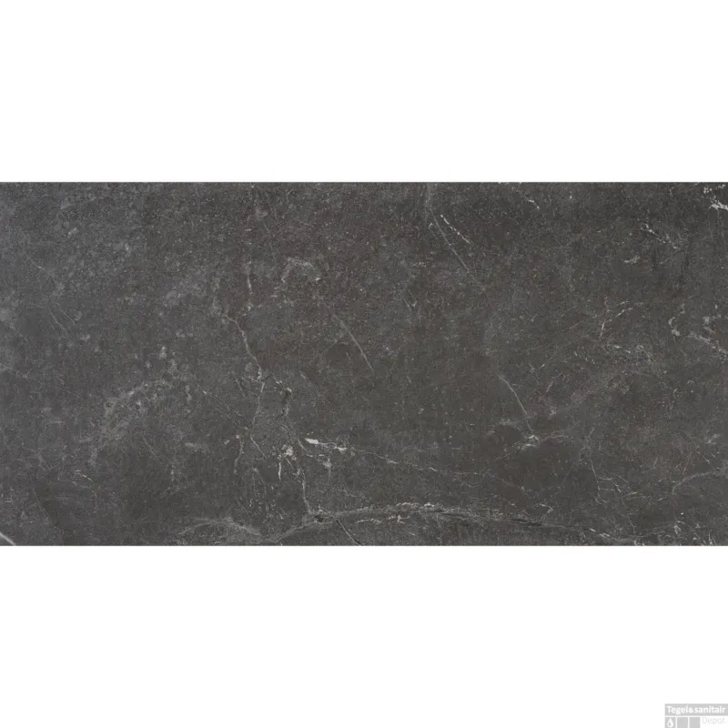 Vloertegel Alaplana P.E. Blade Grafito Mate 60x120 cm Gerectificeerd Marmerlook (Doosinhoud 1,44 m2) Aanbieding
