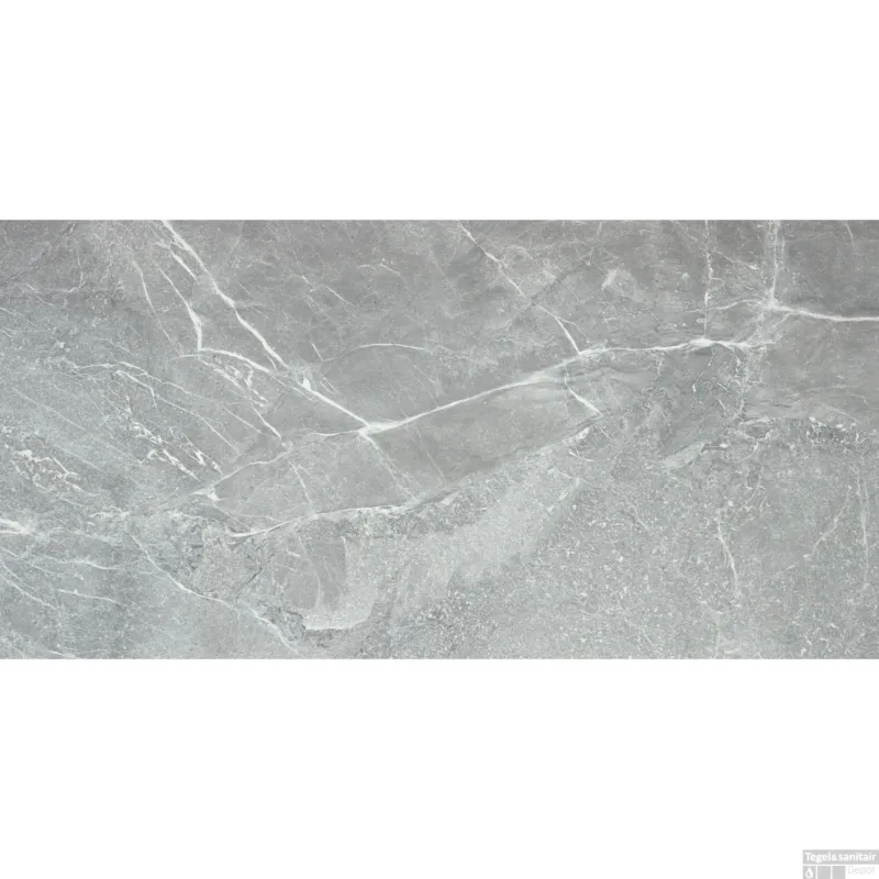 Flitsaanbieding Vloertegel Alaplana P.E. Pulido Blade Gris 60x120 cm Gerectificeerd Marmerlook (Doosinhoud 1,44 m2)
