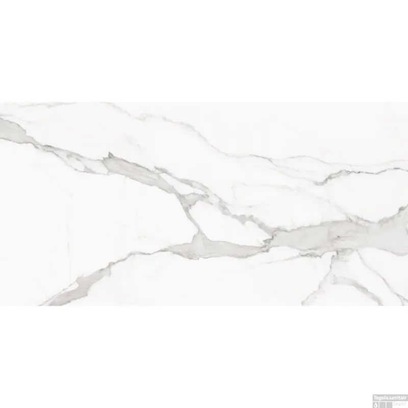 Vloertegel Alaplana P.E. Palladio Statuario Mat Satin 60x120 cm Gerectificeerd Marmerlook (Doosinhoud 1.44 m2) Nu Kopen