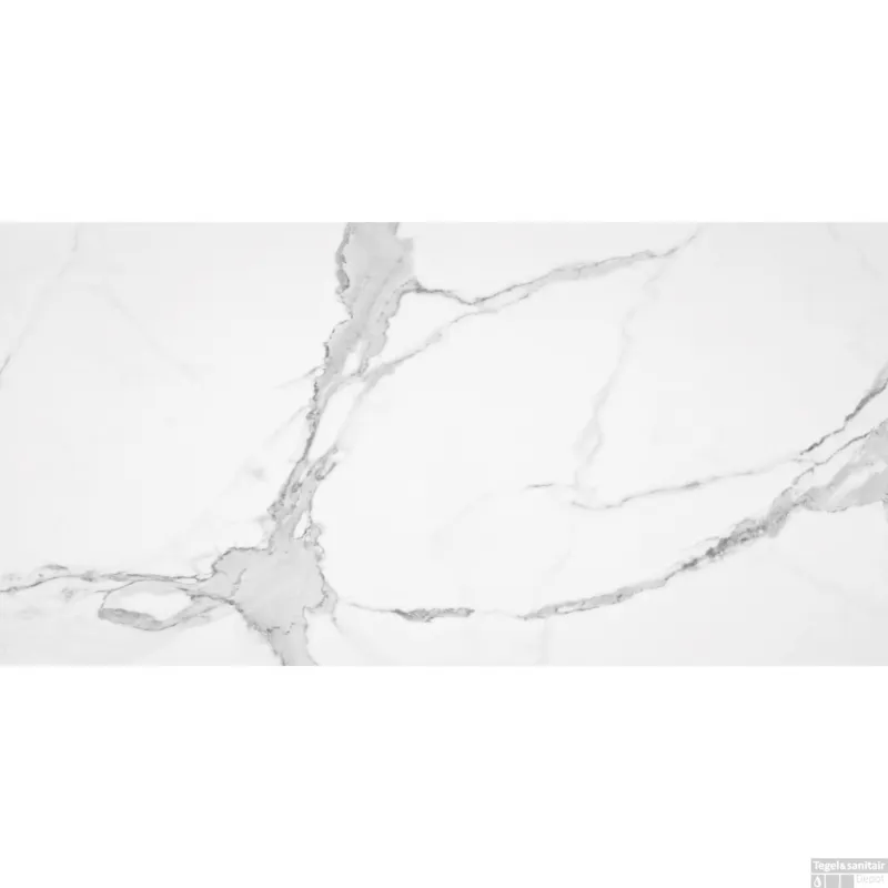 Bestseller Vloertegel Alaplana P.E. Palladio Statuario Gepolijst 60x120 cm Gerectificeerd Marmerlook (Doosinhoud 1.44 m2)