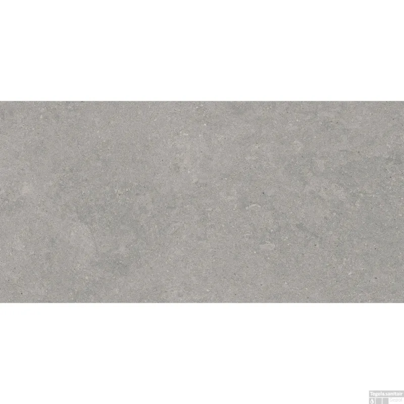 Direct Beschikbaar Vloertegel Pamesa Cromat Gris 60x120 cm Gerectificeerd Mat Grijs (Doosinhoud 1,44 M2)