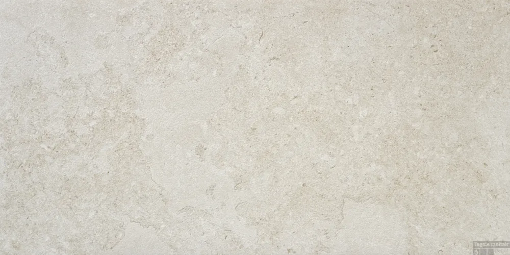 Meest Verkocht Vloertegel Alaplana P.E. Structech Portland Gerectificeerd 60x120 cm Mate Bone (Doosinhoud 1.44 m2)
