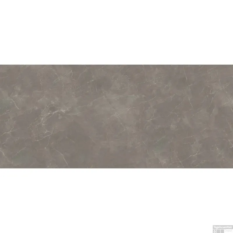 Beperkte Voorraad Vloertegel Elegance Alfalux 30x60 cm 9 mm Gepolijst Taupe (Doosinhoud 1,26 M2)