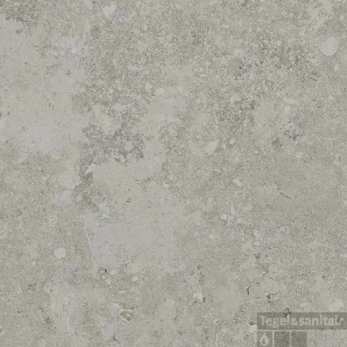 Vloertegel Freedust 60x60 cm Gerectificeerd Grey (Doosinhoud 1,43m2) Hoge Kwaliteit