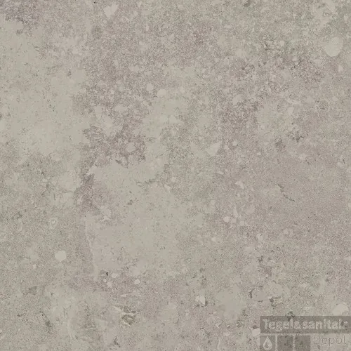 Favoriet Vloertegel Freedust 60x60 cm Gerectificeerd Taupe (Doosinhoud 1,43m2)