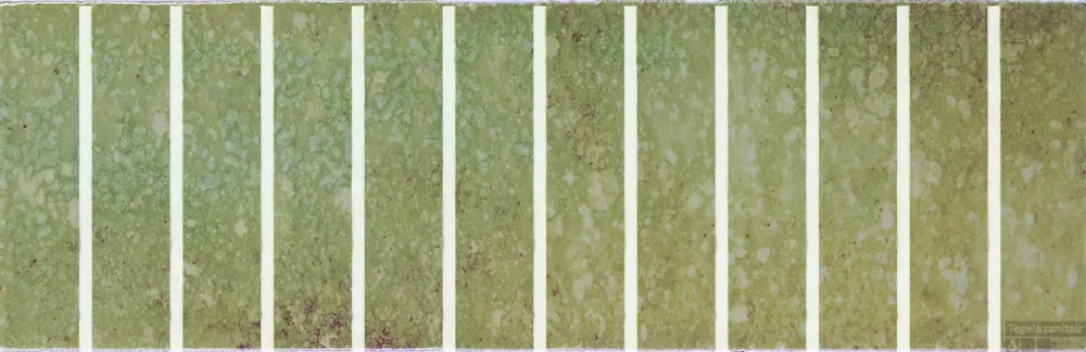 Superprijs Mozaiek Stardos Touch 10x30cm Moss (doosinhoud 0.54 m2)