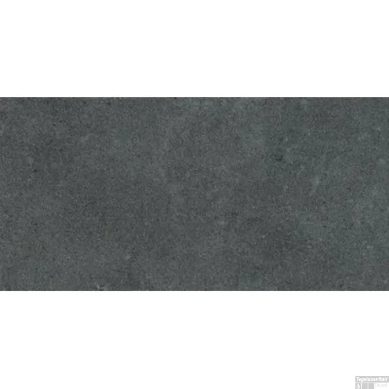 Gratis Retour Vloertegel Rak Surface Ash 30X60cm Half gepolijst (Doosinhoud 1,08M²)