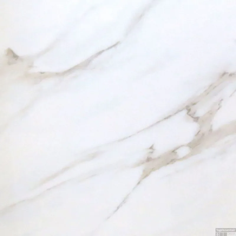 Goedkoop Vloertegel Profiker Carrara Gepolijst 60x60cm (Doosinhoud 1,44m²)