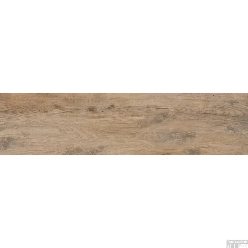 Uitverkoop Vloertegel Houtlook Nebraska Elm 30x120 cm (doosinhoud 1.08m2)