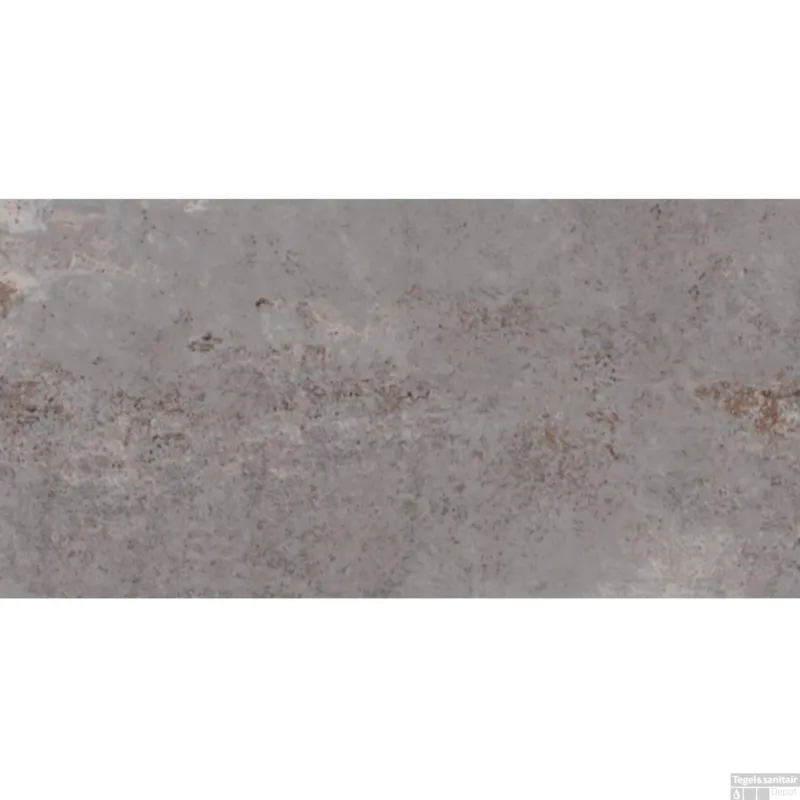 Meest Verkocht Vloertegel Flatiron Silver 30x60 cm Mat Grijs (doosinhoud 1.29 m2)