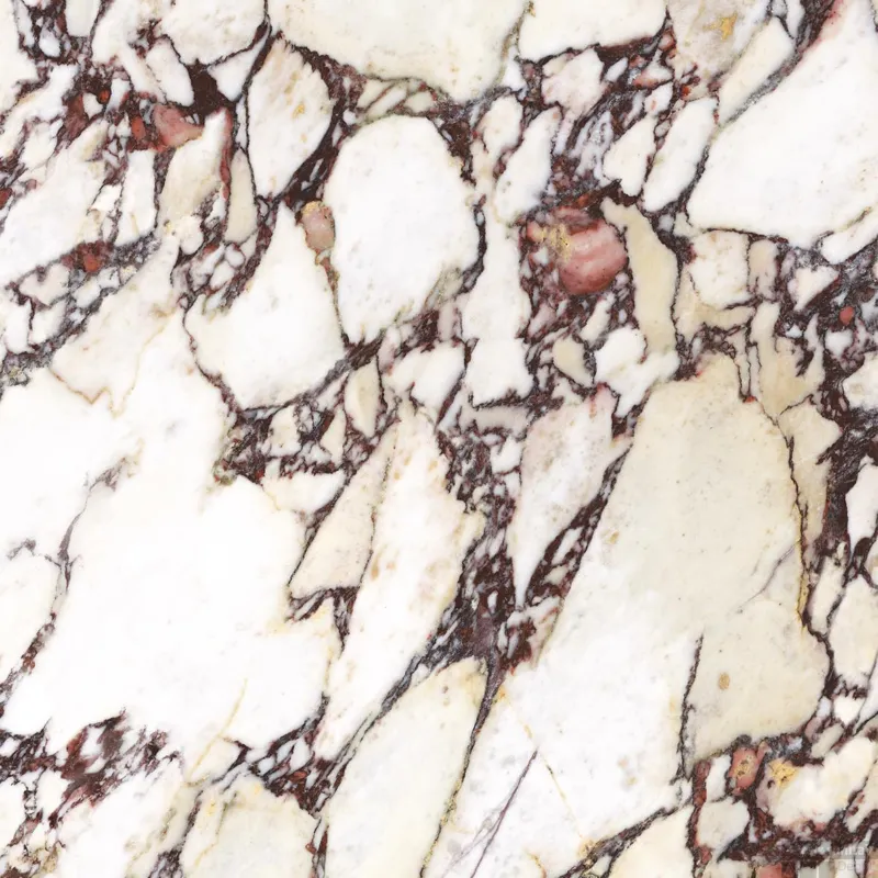 Vloertegel Energieker Calacatta 60x60 cm Naturel Viola (Doosinhoud 1,44 m2) Koop Vandaag