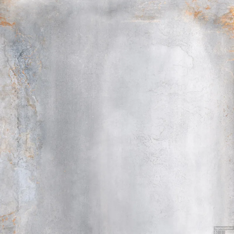 Vloertegel Energieker Oxidatio Titanium Grijs 60x60 cm (doosinhoud 1.44 m2) Favoriet