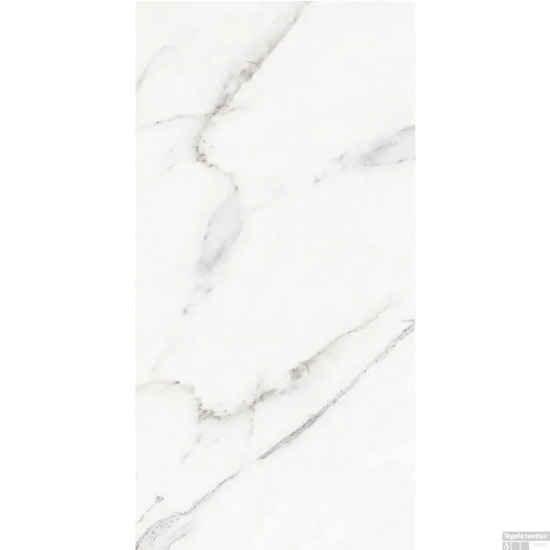 Vloertegel Mykonos Bolshoi Grey 60x120cm Glans Marmerlook (Doosinhoud 1.44m2) Laatste Versie