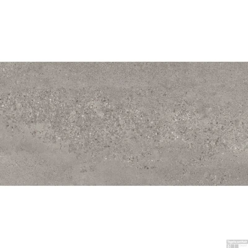 Laatste Versie Vloer-en Wandtegel vtwonen Raw 30x60 cm Donkergrijs (Doosinhoud 1,08 m2)