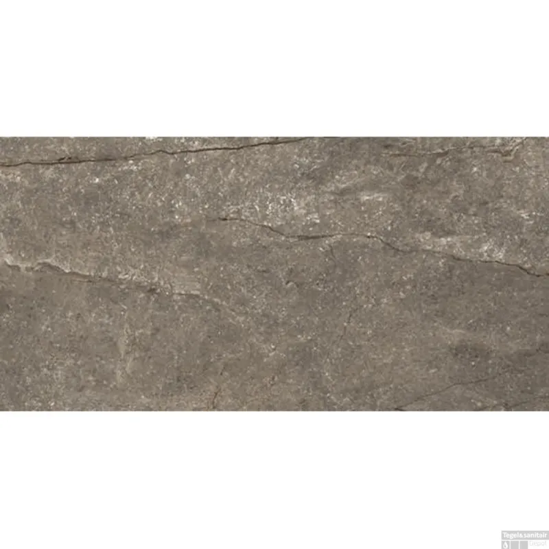 Beperkt Aanbod Vloertegel Douglas & Jones Marbles 30x60 cm Glans Wells Moka (Doosinhoud 1.08m2)