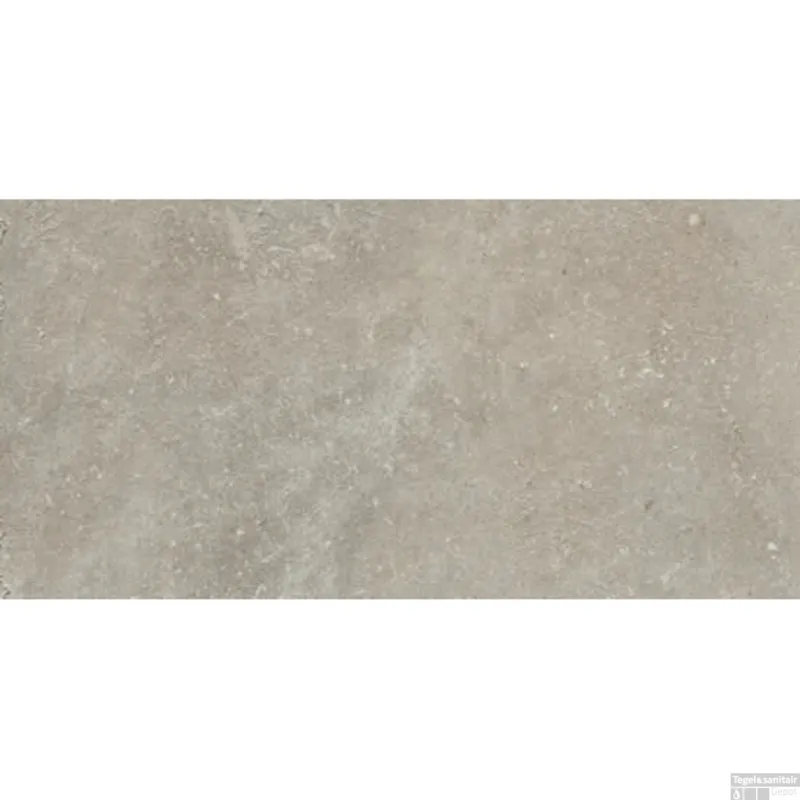 Betrouwbaar Vloer en Wandtegel Serenissima Promenade 30x60 cm R11 Argento (Doosinhoud 1.08m2)