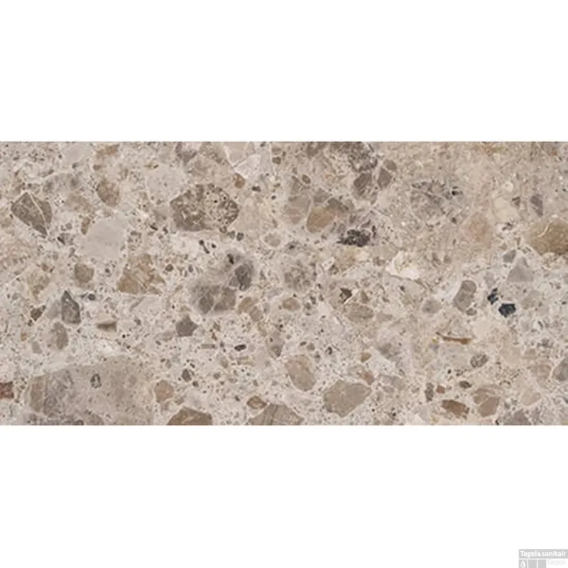 Koop Vandaag vtwonen Vloer en Wand Tegel Composite Mat Sand 30x60 cm (Doosinhoud 1.26m2)