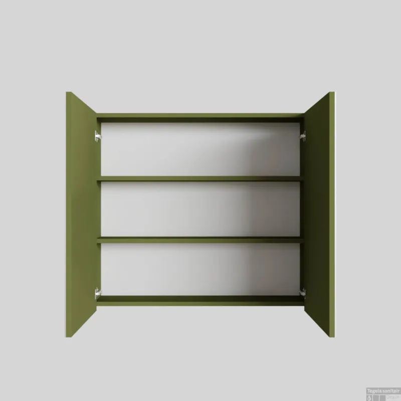 Alleen Vandaag Spiegelkast BWS Cube 80x70x16 cm 2 Deuren Groen