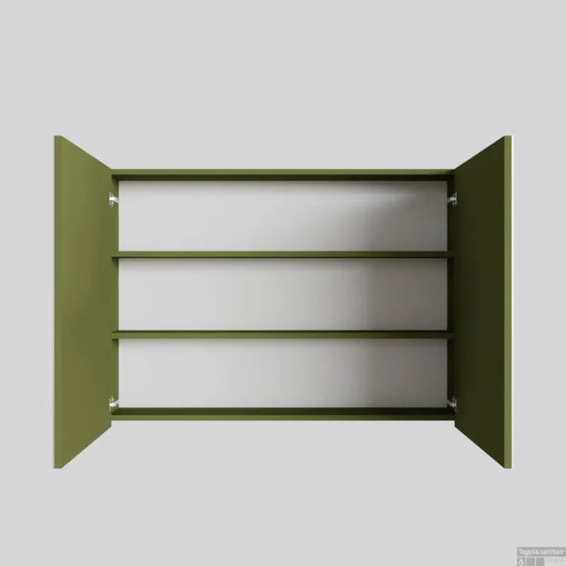 Express Levering Spiegelkast BWS Cube 100x70x16 cm 2 Deuren Groen