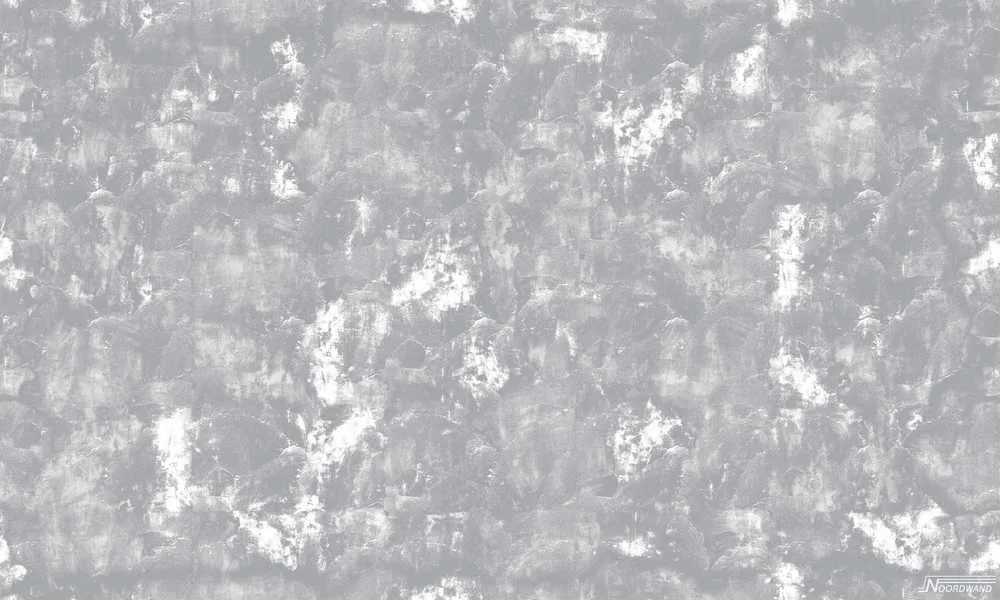 Behang Noordwand Concrete Cire 330747 Direct Verzonden