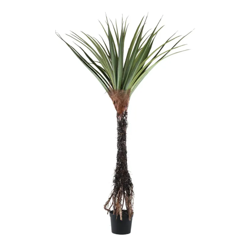 Tree Green Pandanus tree in pot 140x140x210cm PTMD Bestseller